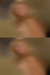 Horny wives looking sex Madera